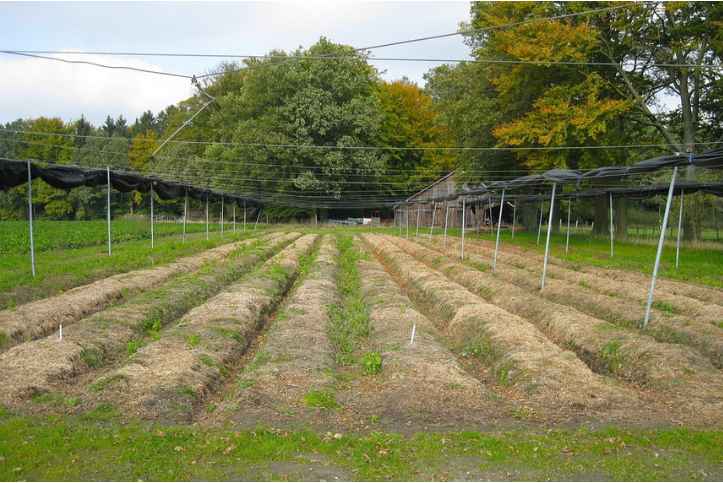 aggriculture-farm-land-sale